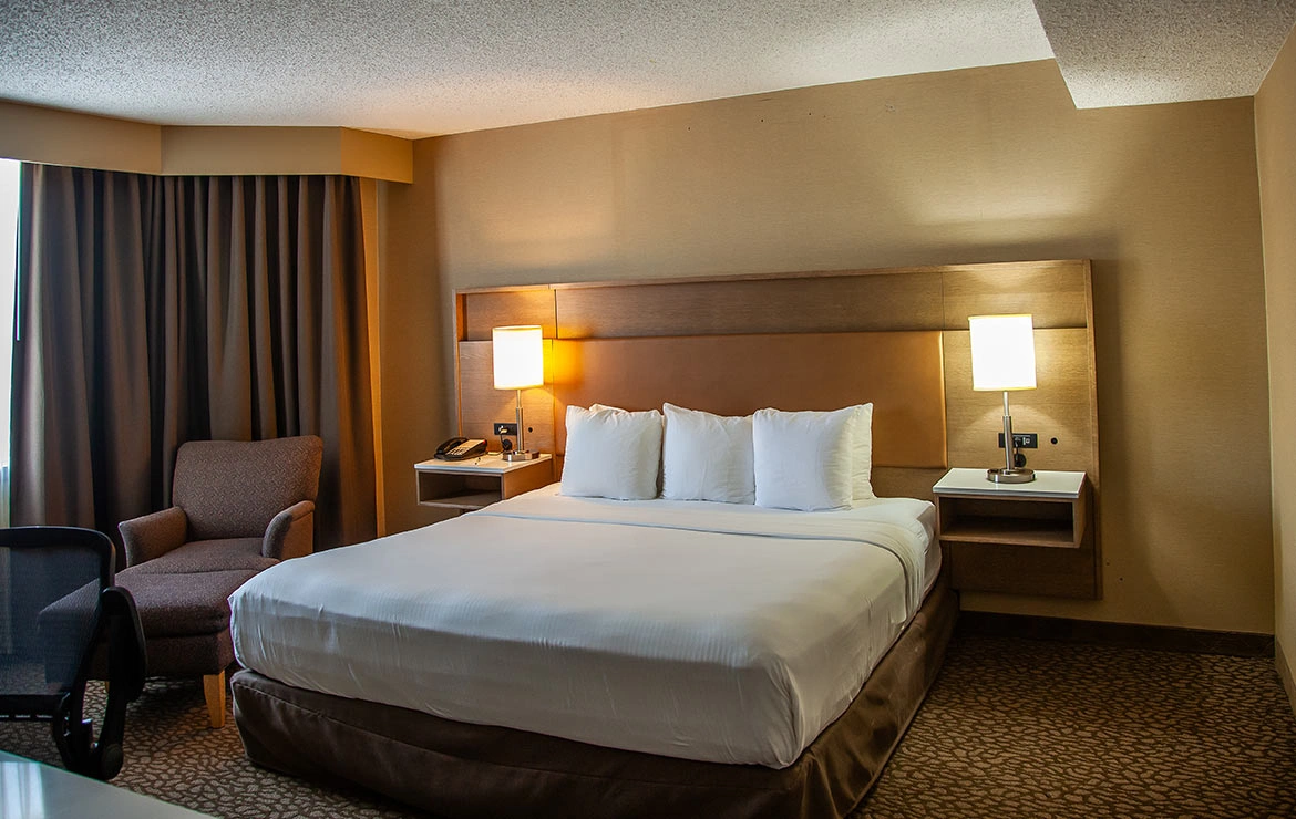 Business Suite