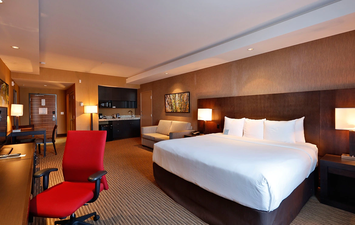 Deluxe Room 1 King with Sofa Bed