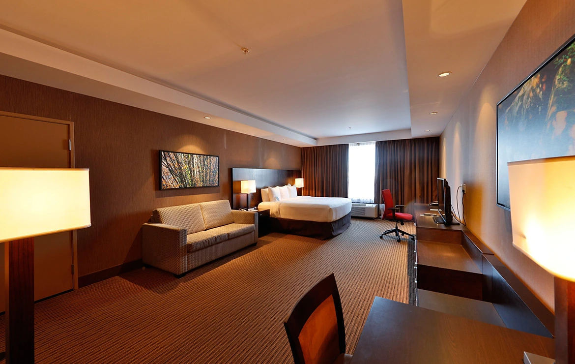 Deluxe Room 1 King with Sofa Bed
