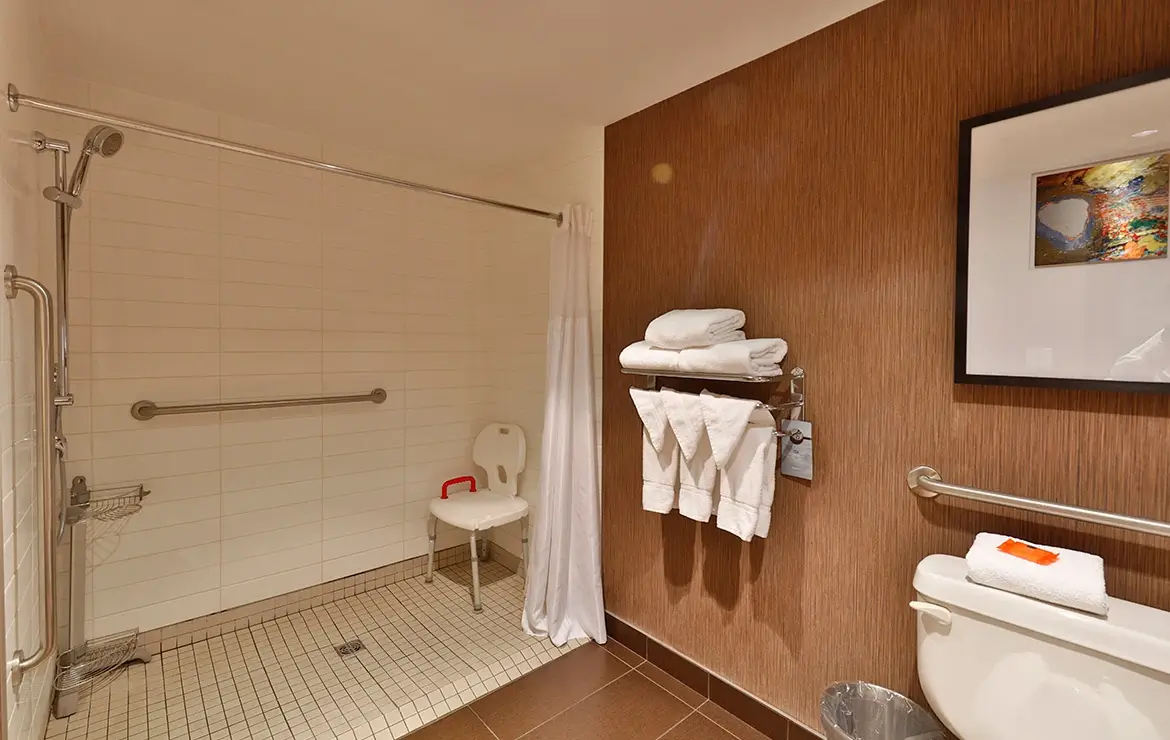 Premium Room 1 King Accessible
