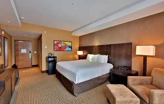 Premium Room 1 King